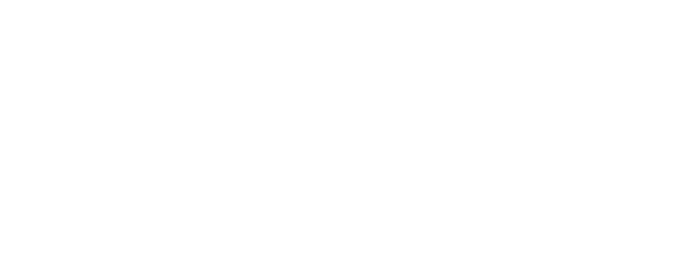 McAdams Group LLC